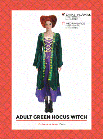 Adult Green Hocus Witch Costume Extra Small/Small