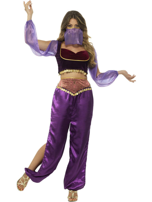 Arabian Princess Adult Costume, Purple Extra Small