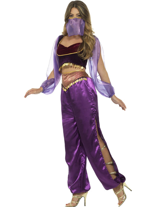 Arabian Princess Adult Costume, Purple Extra Small