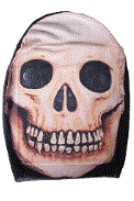 Skull Stocking Mask