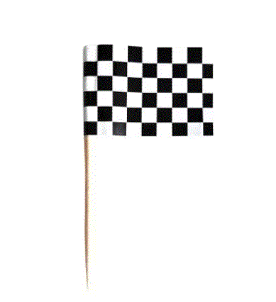 Black & White Checkered Flag Picks 24PK