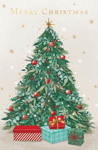 Salvation Army Christmas Cards Pack Of 10