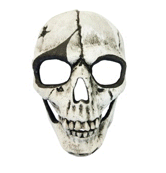 White/Black Skull Mask