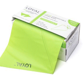 12in/30cm Green Compostable Piping Box Pack of 100