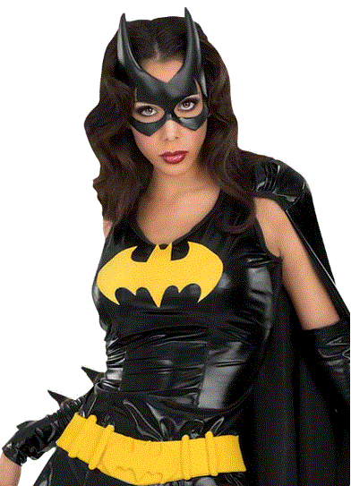 Batgirl Secret Wishes Costume - Adult Small