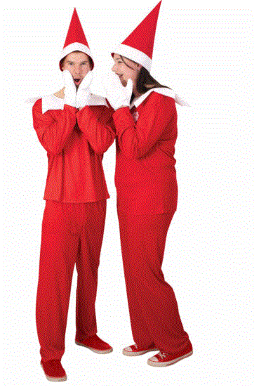 Elf On The Shelf Unisex Adult Costume Standard