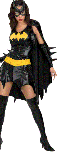 Batgirl Secret Wishes Costume - Adult Small