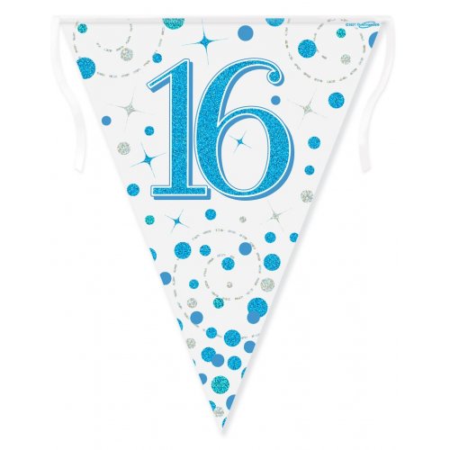 Sparkling Fizz Blue and Silver Flag Bunting