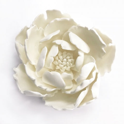 Large Peony White