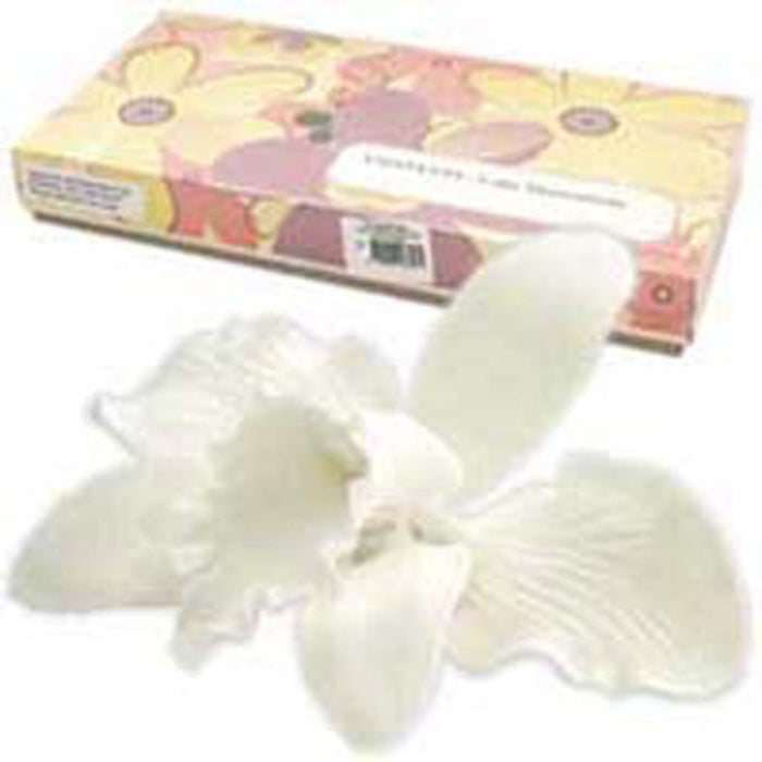 Cattleya Orchid White Medium  - Sugar Flower each