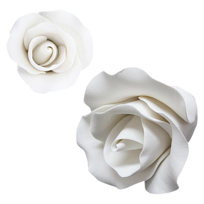 Single Rose White