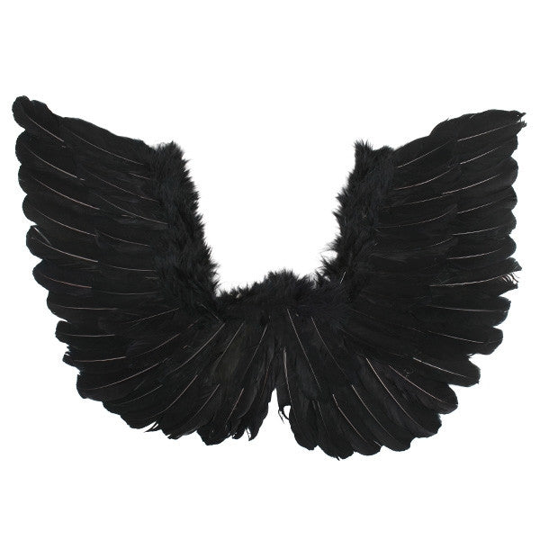 Wings Up Small Black Feather 50X40cm