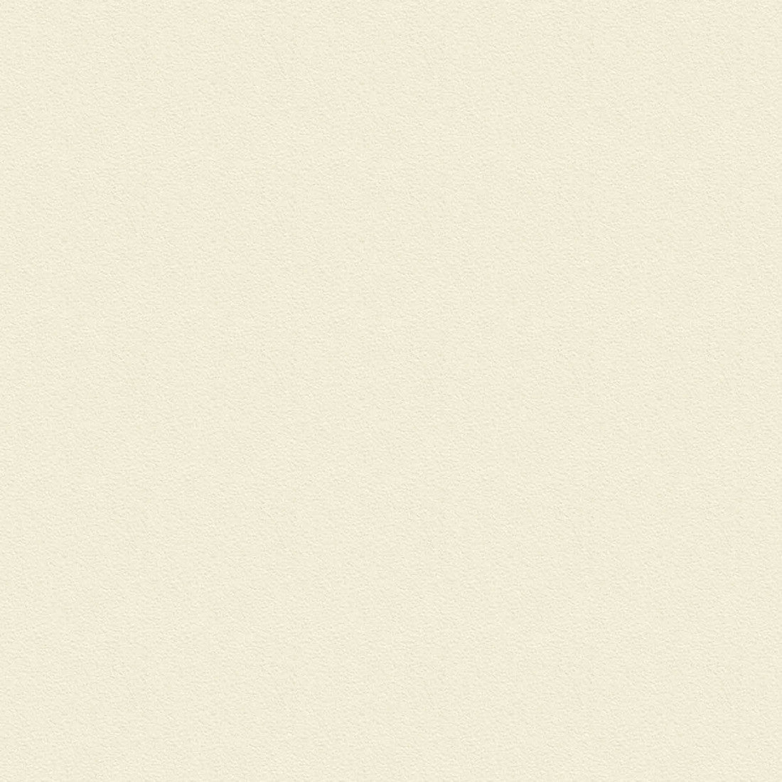 Colour - Ivory