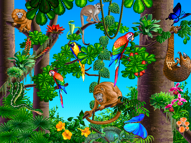 General - Jungle