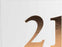 21 Guest Book Rose Gold  Text 23x18
