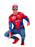 Spider-Man Costume Top & Mask Adult Size M-L