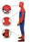 Adult Spider-Man Costume - Extra Small