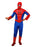 Adult Spider-Man Costume - Extra Small