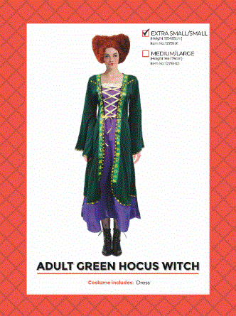Green Hocus Witch Adult Costume Extra Small/Small