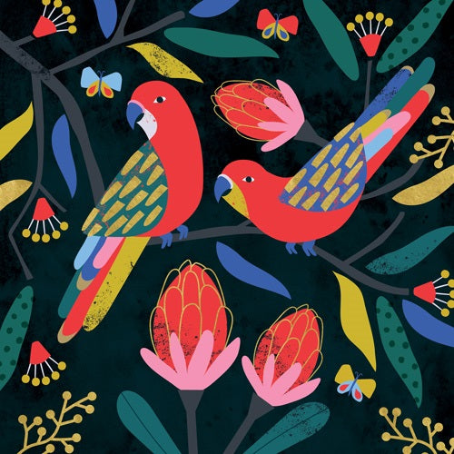 Colourful Parrots Birthday Card