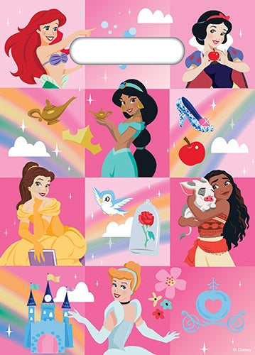 Disney Princess Party Bags