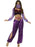 Arabian Princess Adult Costume, Purple Extra Small