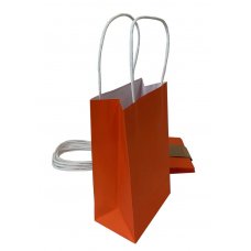 Paper Party Bags Orange 5 Pk