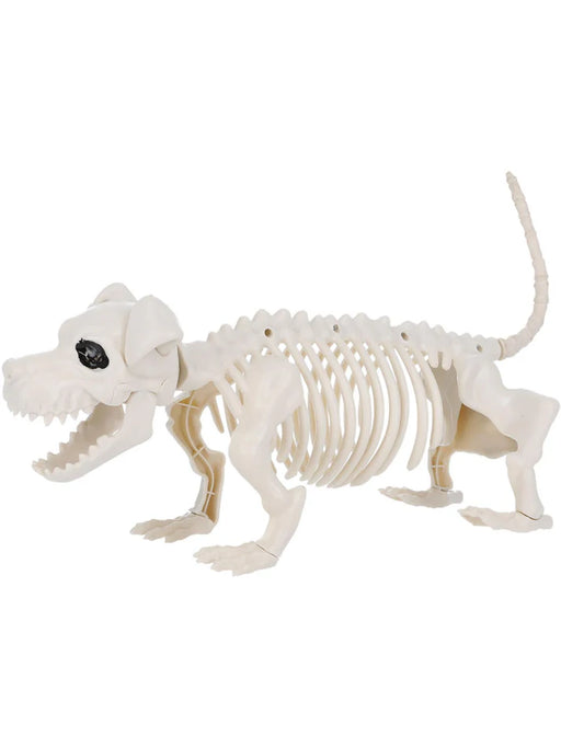 Daschund Dog Skeleton Prop, Natural