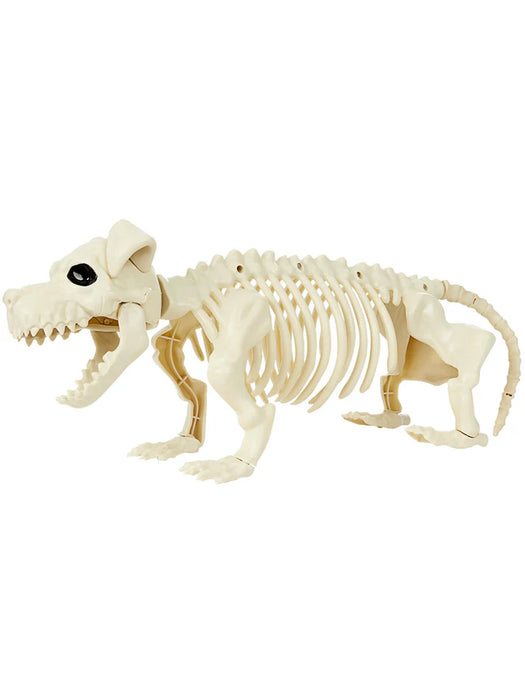 Daschund Dog Skeleton Prop, Natural