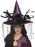 Witch Hat, Purple, with Feathers & Netting, Deluxe