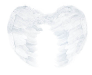 Feather Angel Wings - Small