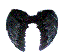 Feather Angel Wings - Medium Black