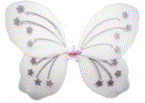 White Butterfly Wings