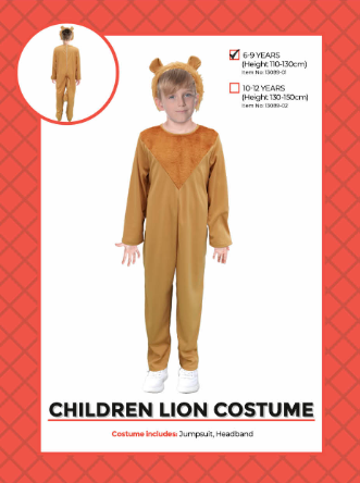 Childrens Lion Costume 6-9 Years