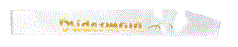 Bridesmaid Sash White With Gold Writing