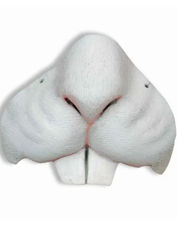 Bunny Nose