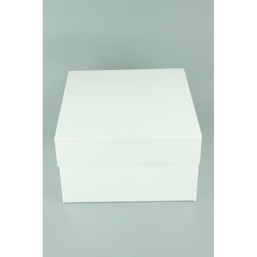 10x10x6 Inch 2 Piece Cake Box