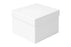 BULK BUY 8x8x6 Inch Cake Box 25 PACK