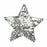 Silver Star Pinata