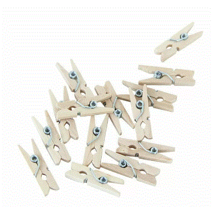 Wooden Pegs 24pcs - Natural