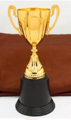 Novelty Gold Trophy Cup 23cm