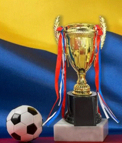 Gold Trophy Cup With Ribbon - 17cm
