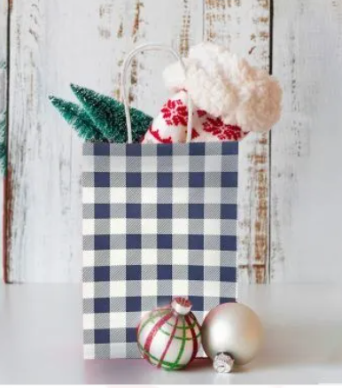 Blue Gingham Paper Loot Bag 10pk