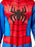 Close-up of printed black spider and web graphics on red Spidey costume bodice