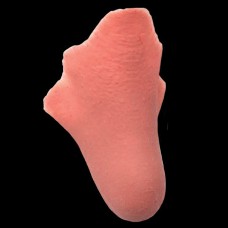 Black Label Latex - Pinnochio Nose