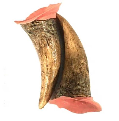 Black Label Latex - Extra Large Devil Horns