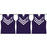 Fremantle Dockers AFL party bunting with purple guernsey-shaped flags
