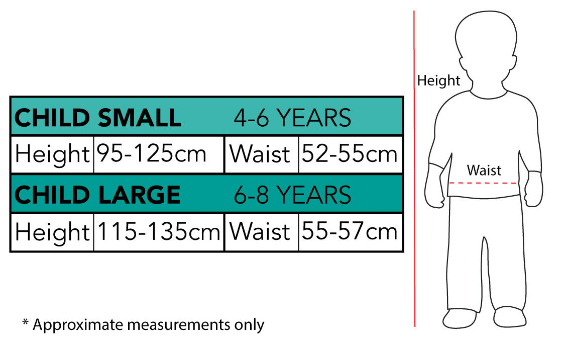 Children's Disney Frozen 2 Elsa Premium Costume Size 4-6 Years