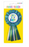 Birthday Boy Blue Rosette Ribbon