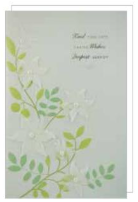 Sympathy Card